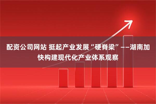 配资公司网站 挺起产业发展“硬脊梁”——湖南加快构建现代化产业体系观察
