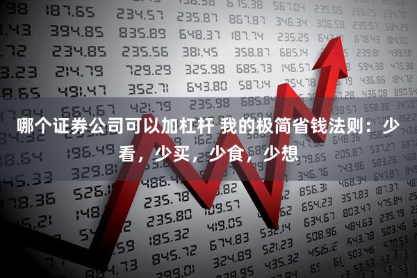 哪个证券公司可以加杠杆 我的极简省钱法则:少看,少买,少食,少想