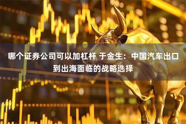 哪个证券公司可以加杠杆 于金生：中国汽车出口到出海面临的战略选择